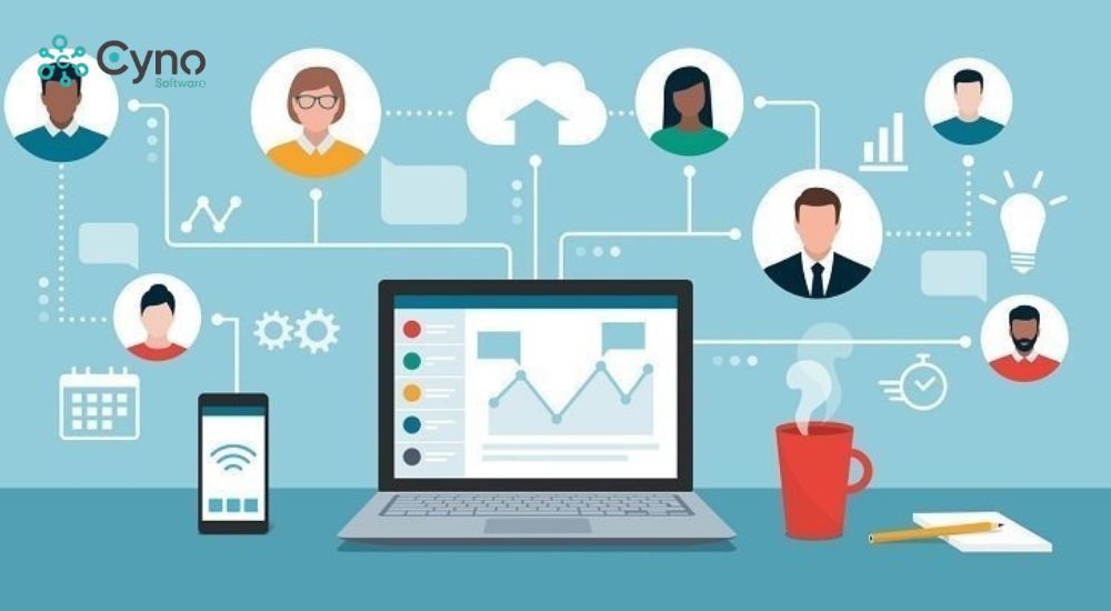 Thu thập và đánh giá từ người dùng