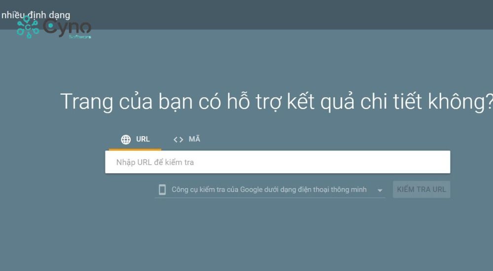 Kiểm tra Schema tại Rich Results Test