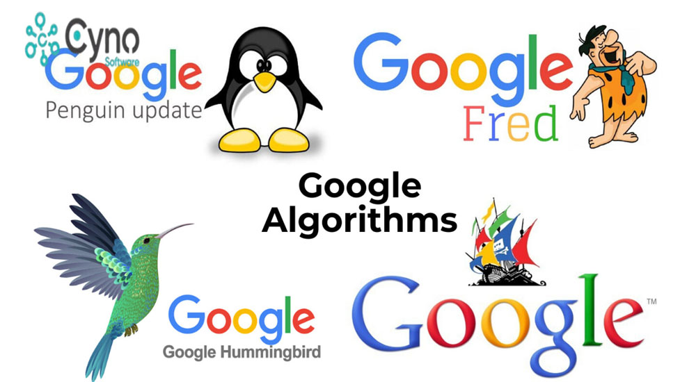 Đa dạng các thuật toán giúp tối ưu kết quả tìm kiếm