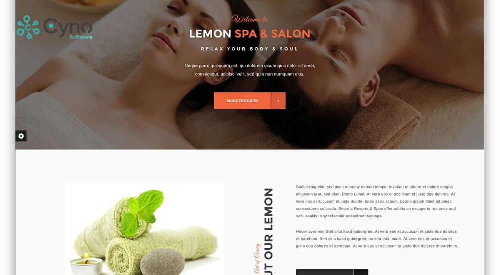 Thiết kế website Spa và thẩm mỹv