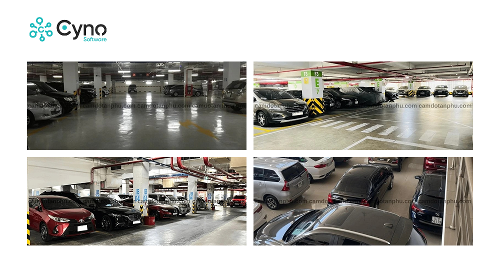 tính chân thực và chuyên nghiệp.