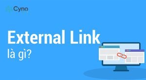 External Link là liên kết giữa website của bạn với website bên ngoài