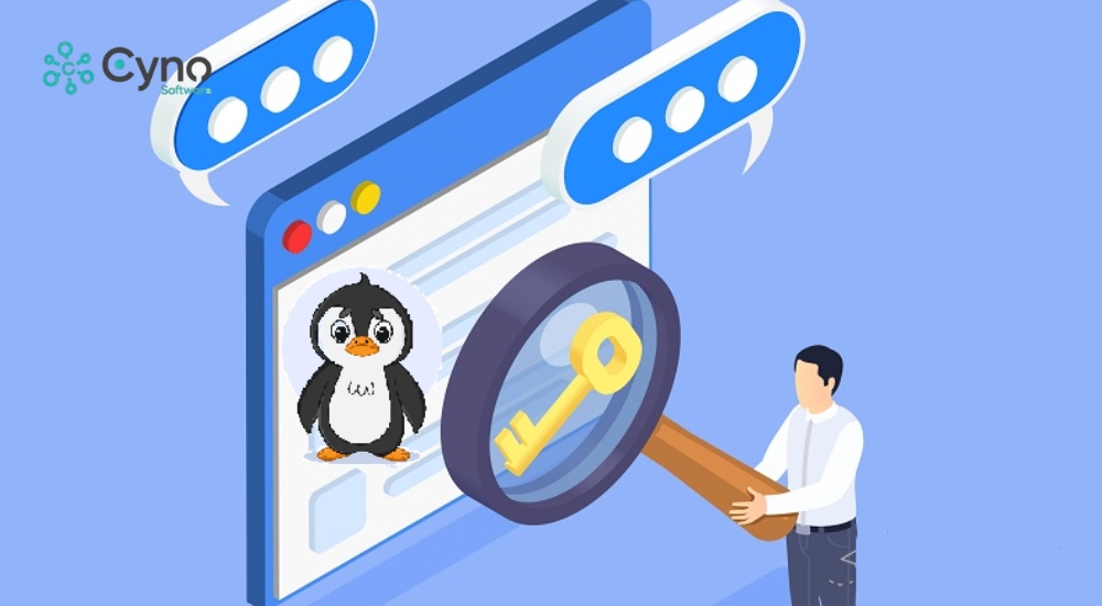 Kiểm tra và đánh giá chất lượng liên kết trỏ về website