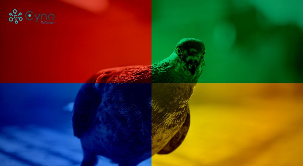 Tìm hiểu hạn chế của Google Pigeon và cách vượt qua cho doanh nghiệp nhỏ