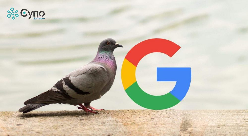 Pigeon là gì so với Penguin, Hummingbird? So sánh Google Pigeon algorithm