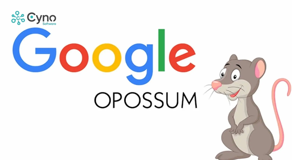 Google Possum
