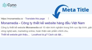 Meta title là một dòng tiêu đề đầu tiên, được tô màu xanh